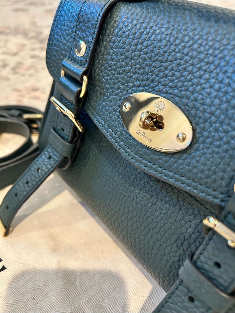 Mulberry Mini Alexa in Green Heavy Grain - Picture 4 of 7